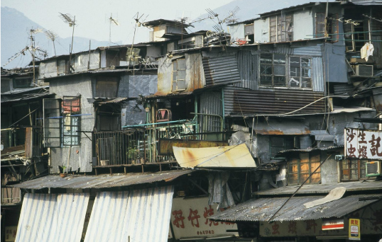 九龍城砦 クーロン城 今は無き香港に沈んだ生きた建築 Bird Yard